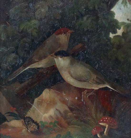 C. 1800 Ornithological School,
Oil on tin, 
Ornithological portrait of a male and female - Image 3 of 3