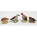 Four Aynsley models of game birds comprising Quail, Partridge, Ptarmigan and Grouse. Tallest 3 1/