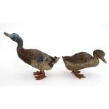 A standing pair of Early 20 thC Austrian Cold Painted Bronzes of Mallard Ducks , the male standing 4