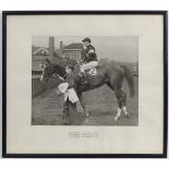 Horse Racing : 
Kemsley Newspapers , Manchester ,
Monochrome photograph,
" Irish Dance  being led in