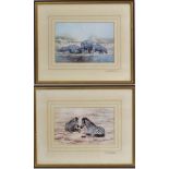 David Shepherd 1931,
A pair of signed coloured prints,
Recumbent Zebras and Bloat of Hippotami,
Both