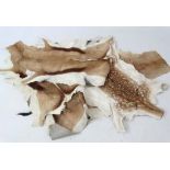 Four deerskin rugs , to include African species , the largest approximately 33" wide CONDITION: