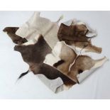 Five deerskin rear rugs , to include Fallow and African species , the largest approximately 30" wide