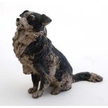 A Cold Painted Bronze of a half sat long haired Border Collie ( sheep dog )  2" high CONDITION: