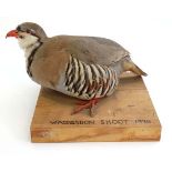 Taxidermy : a red leg ( French ) mounted Partridge on base marked ' Waddesdon Shoot 1998 ' ( Lord