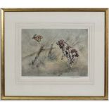 After Henry Wilkinson, (1921-2011), 
A framed limited edition (58/200) hand coloured,  dry point