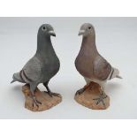 Pigeon Racing :
North Light pair of racing pigeon portrait figures,
Hand painted resin models no.2