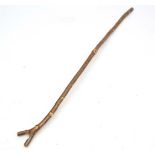 Thumb stick : A hazel shafted hand made stick with Y shaped Thumb piece to top, measuring  53 1/4"