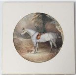 HY 1869,
Watercolour tondo,
Dapple Grey Hunter and a rough coat terrier,
Initialled and dated