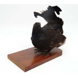 Taxidermy : A taxidermy black grouse  mounted on a walnut plinth 12 1/4" long x 12" high. CONDITION: