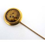 A gilt metal stick pin surmounted by a ceramic cabochon with dog head decoration. The whole 3 ¼”