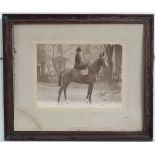 Photograph : 
R L Vartlett , Shrewsbury,
Signed in ink and dated 'Xmas 1909 ',
A lady riding Side