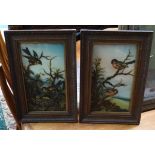 H Keighley 1909
Pair of glass paintings
Pair of Goldfinches and a pair of Chaffinches 
Signed and