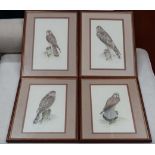 4 limited edition birds of prey prints (numbered and signed) CONDITION: Please Note -  we do not