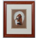 Dogs: Debbie Gillingham (1965),
Pastel on paper,
Portrait of a Basset Hound,
Signed lower right,