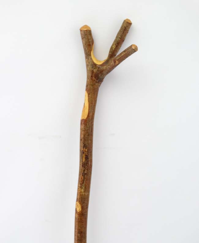Thumb stick : A hazel shafted hand made stick with Y shaped Thumb and hanging section piece to - Image 2 of 3