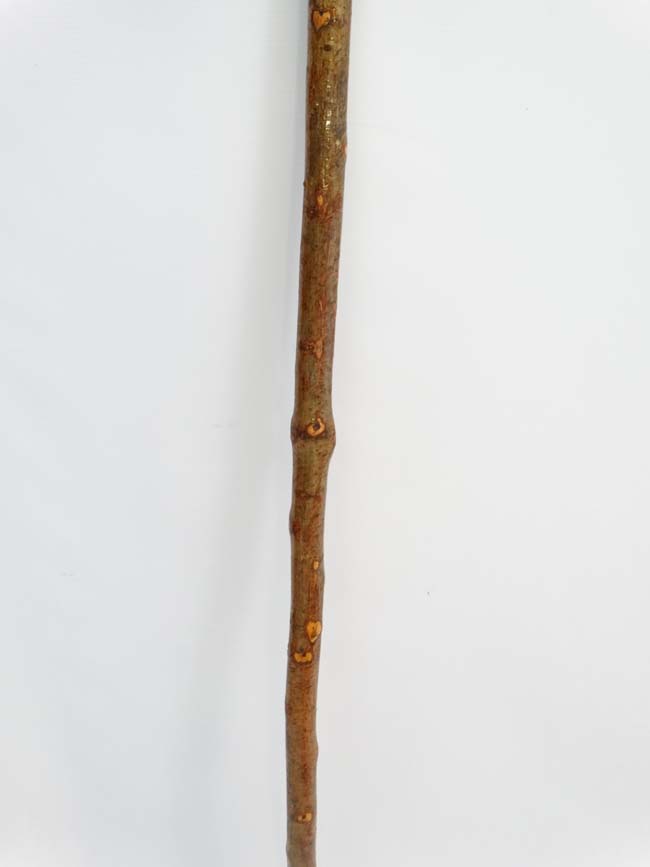 Stick CONDITION: Please Note -  we do not make reference to the condition of lots within catalogue - Image 3 of 3