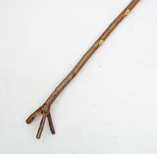 Thumb stick : A hazel shafted hand made stick with Y shaped Thumb and hanging section piece to - Image 3 of 3