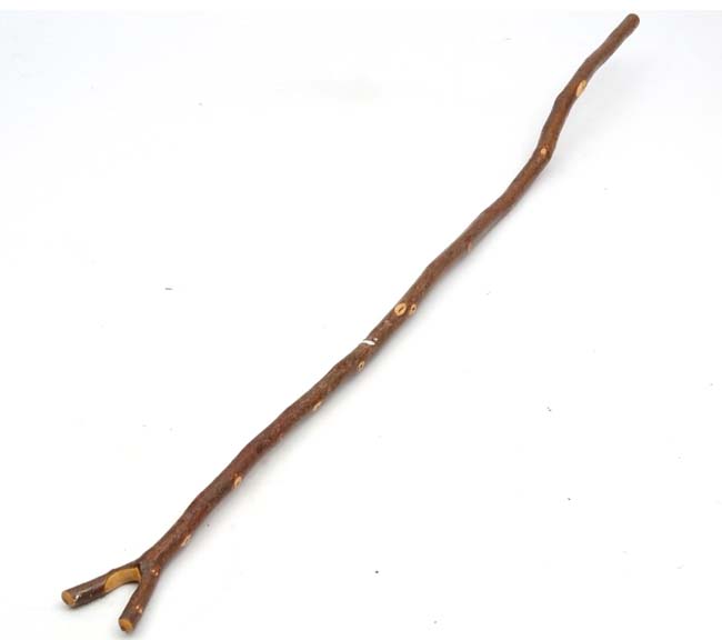 Walking stick  CONDITION: Please Note -  we do not make reference to the condition of lots within - Image 4 of 4