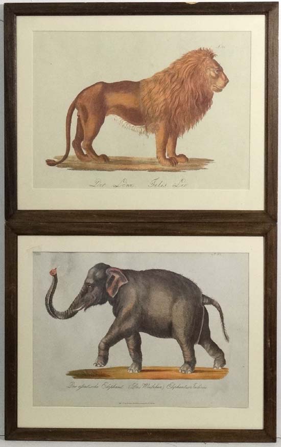 A pair of reprint coloured animal prints depicting a Lion and an Elephant, the lion entitled ' Der