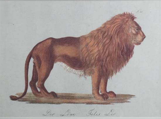 A pair of reprint coloured animal prints depicting a Lion and an Elephant, the lion entitled ' Der - Image 4 of 11