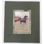Cecil Aldin print of a racehorse  CONDITION: Please Note -  we do not make reference to the