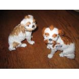 A PAIR OF PORCELAIN MODELS of brown and white spaniels sitting, 6.25", Meissen, 19th Century (as