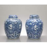 paire de pots à thé ou pots à gingembre en porcelaine de Chine d'époque Kangxi
 à décor en B&B sur