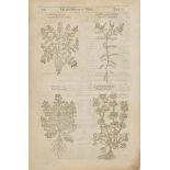 [Gerarde (John). The Herball or Generall Historie of Plantes..., 2nd ed., John Norton et al, 1633 or