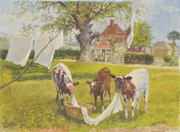 * Edward Walker (1879-1955). Cows disturbing the laundry in a Kentish meadow, watercolour on