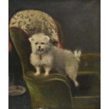 * Moscheles (Felix Stone, 1833-1917). Daisy Prima the Terrier, 1875, oil on canvas, captioned ÒDaisy