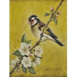 * Stone (Marcus, 1840-1921). Goldfinch with Apple Blossom, oil on board, signed lower right, Frost &