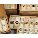 *Microscope Slides. A good collection of Victorian and later microscope slides, subjects include