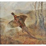 * Ross (Iain, 20th century). Cock Pheasant & Osprey, 1967, a pair of oils on board, each signed and