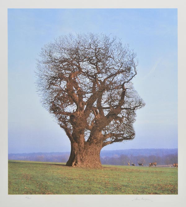 * Thorgerson (Storm, 1994-2013). Tree of Half Life, 2003, screenprint in colours on wove paper, of