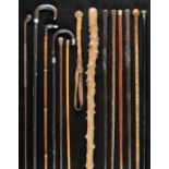 * Walking sticks. A varied collection of sticks, including an African hardwood stick with carved