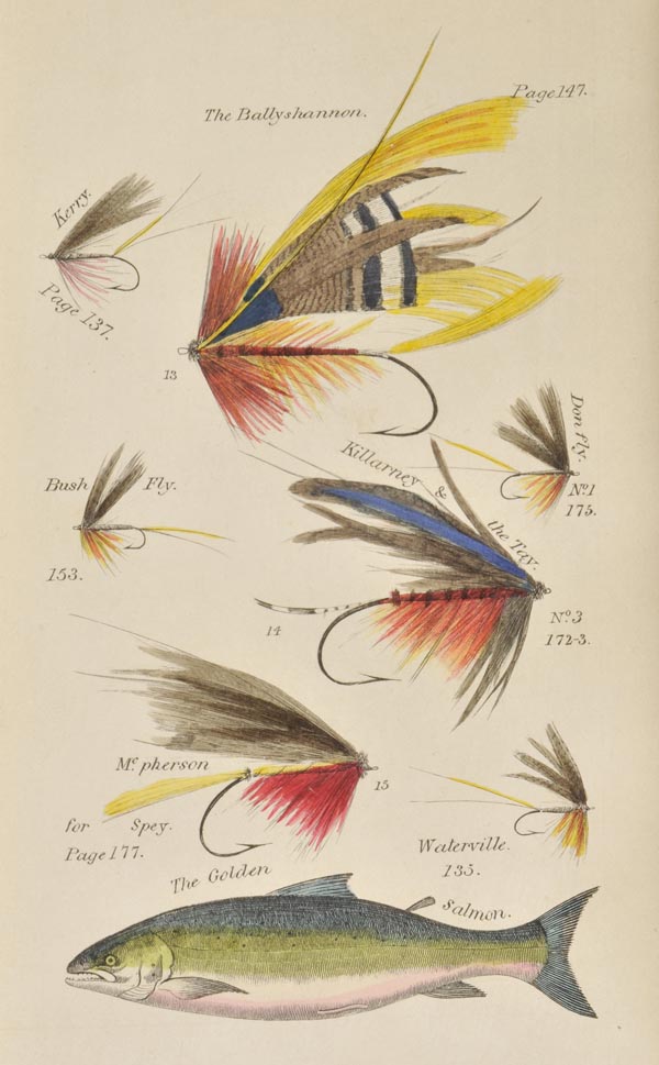 Blacker (William). Blacker's Art of Fly Making &c., comprising Angling, & Dyeing of Colours, with