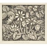 *Tanner (Robin, 1904-1988). Lesser Celandine, 1943,  etching on laid paper, an artist's proof