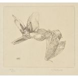 *Detmold (Charles Maurice, 1883-1908 & Edward Julius, 1883-1957). Long-Eared Bat, 1897,  etching