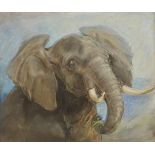 *Hardy (Heywood, 1843-1933). Study of an African Elephant, colour pastel on paper, 34 x 40cm (13.5 x