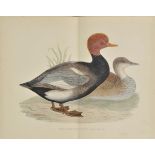 Morris (Beverley R.). British Game Birds and Wildfowl, 2 vols., 4th ed., Revised and Corrected by