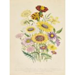 Loudon (Mrs. Jane). The Ladies' Flower-Garden of Ornamental Annuals, 1st edition, published