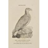 Bewick (Thomas). History of British Birds, 2 vols. (Land/Water), Newcastle 1797-1804; A General