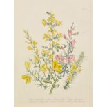Loudon (Mrs. Jane). British Wild Flowers, 1st ed., 1846,, half title, 60 hand-coloured