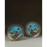 A PAIR OF JAPANESE CLOISONNÉ CHARGERS decorated with mirror-image views showing pheasants perched on