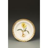 A DERBY BOTANICAL PLATE, painted with a 'Amaryallislytea, A Yamma Yellow Amaryllis', the fluted