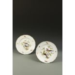 A PAIR OF MEISSEN PLATES, decorated with birds and insects, blue crossed sword mark on underside,