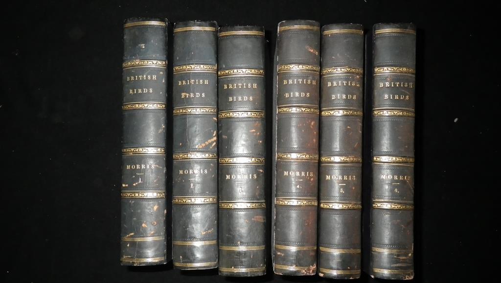 MORRIS, F.O. A History of British Birds. [Colour plates.] Groombridge, 1851-57, 6 vols., black