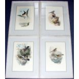 GOULD & RICHTER COLOR LITHOGRAPHS 20" X 13":  Set of six. Framed and matted. Each depicting