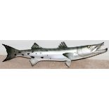 BARRACUDA TROPHY MOUNT, L 42": full body trophy  mount.